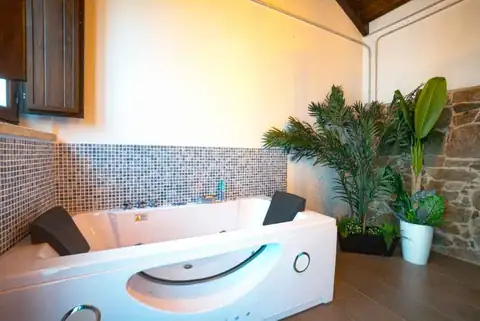 Bañera de hidromasaje doble entre plantas en el spa del Hotel Boutique As Torres da Hermida