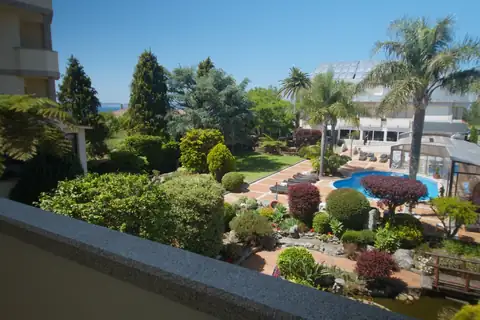 Jardín con plantas, palmeras y piscina visto desde una terraza del Hotel Spa Bosque Mar