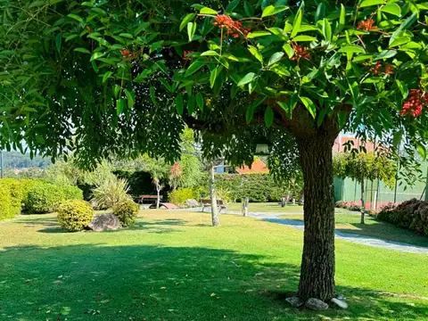 Jardín con césped y árbol frondoso a la sombra en el Hotel Spa Galatea de Sanxenxo