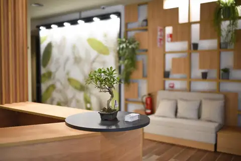 Recepción con mostrador de madera, bonsái y sofá en el IMI Hotel & Spa de Ourense