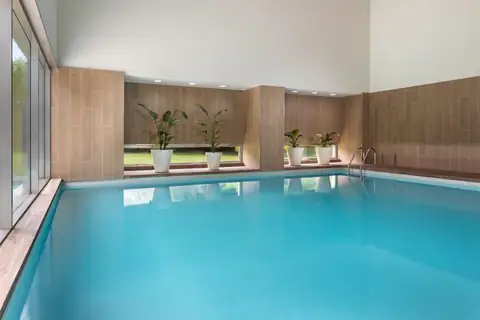 Piscina cubierta con paredes de madera y plantas en el NH Collection Santiago de Compostela